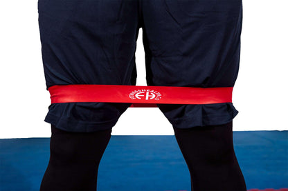 FH Leg Resistance Exercise Mini Loop Bands - Fitness Health